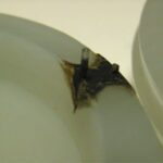 Duurzaamheid en recycling in spuitgieten